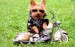 [obrazky.4ever.sk] yorkshirsky terier s okuliarmi, motorka, kozena bunda, zelena trava 167247